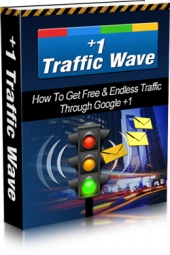 Free and Endless Traffic Through Google +1