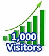 1000 Visitors