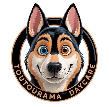 a dogueueueueueueueueueueueueueue