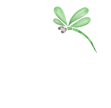 Green dragonfly art for art prints, greeting cards and stationery