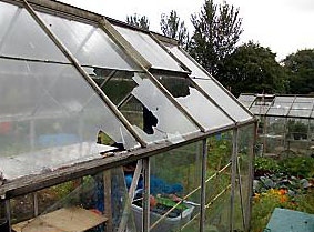 broken glass in greeenhouse