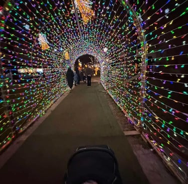 A magical walk-through tunnel decorated with thousands of twinkling multi-colored fairy lights at th