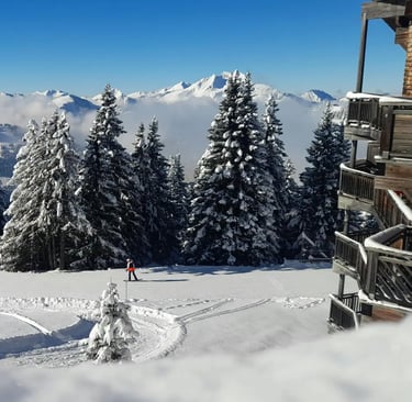 Peaceful winter landscape with snow-covered trees and a narrow trail through the forest