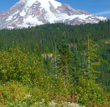 a man riding a bike down a mountain