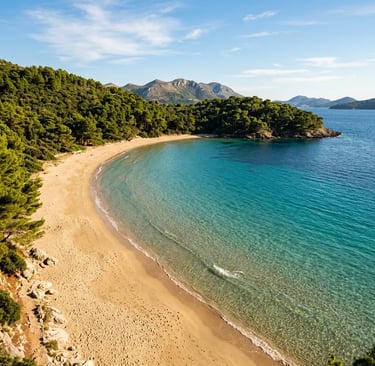 Šunj sandy beach on Lopud Island with turquoise water and pine forest 