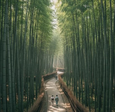 Arashiyama Bamboo Grove walking path, Kyoto private car tour.