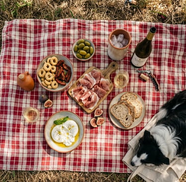 Pet-friendly Puglia picnic spread with burrata, prosciutto, taralli and Bombino Bianco wine