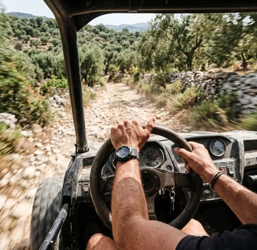 Hands gripping buggy steering wheel on dusty limestone track, olive trees in background, Puglia