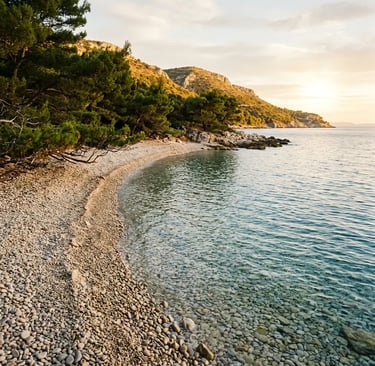 Empty pebble beach with pine trees and clear water on southern coast of Šolta island