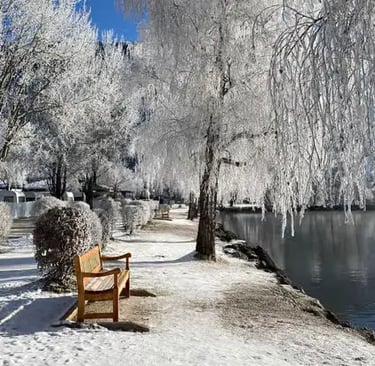 Frosted winter trees and bench by Lake Zell scenic promenade Austria.