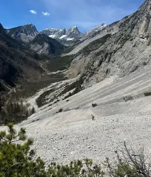 A chamois stands on a rocky slope in a scenic Alpine valley in Tyrol, Austria.