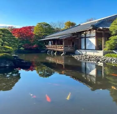 Traditional Japanese pavilion reflected in koi pond with autumn foliage in Kyoto