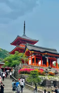 Kiyomizu-dera temple entrance with pink flowers and stone stairs in Kyoto