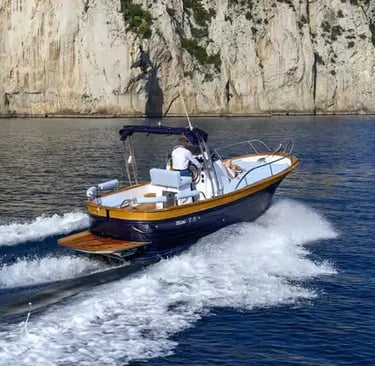 Private boat tour from La Spezia speeding past dramatic Mediterranean Sea cliffs