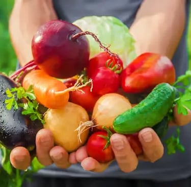 Freshly harvested organic vegetables held in hands at Acampora family farmhouse garden