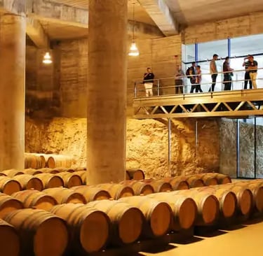 Oak barrel cellar at a Catalan winery on the supercar route from Barcelona