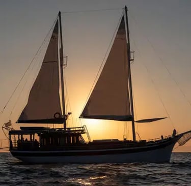 Gulet boat silhouette with raised sails against golden Adriatic sunset on open sea