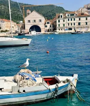 Blue fishing boat with seagull in Vis Island harbor, turquoise Adriatic water