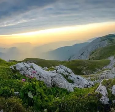 Nordkette panoramic views at sunset with pink wildflowers blooming on alpine meadows during spring hike in Innsbruck Austria
