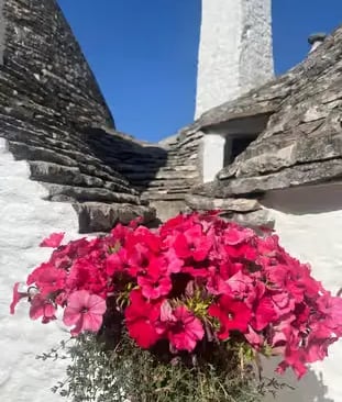 Pink flowers blooming against mortarless limestone Trulli rooftop detail in Alberobello