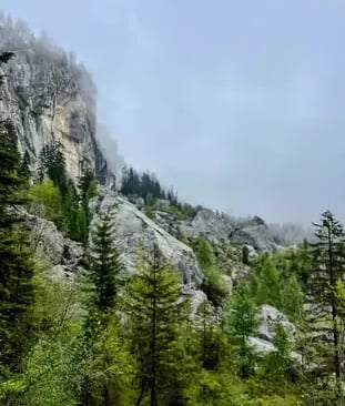 Misty alpine cliffs and green forest along Bad Goisern caving hiking tour