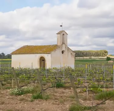 Historic chapel surrounded by grapevines in the Penedes wine region Spain
