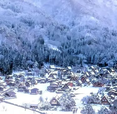 Panoramic view of snow-covered Shirakawa-go village and forest.
