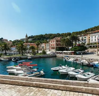 Hvar harbor lined with boats and palm trees on a clear sunny day, Croatia
