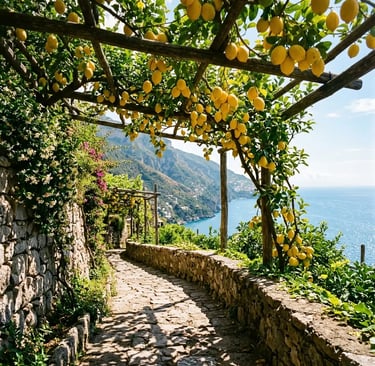 Lemon grove pergola pathway with sea views overlooking the Amalfi Coast and Gulf of Salerno