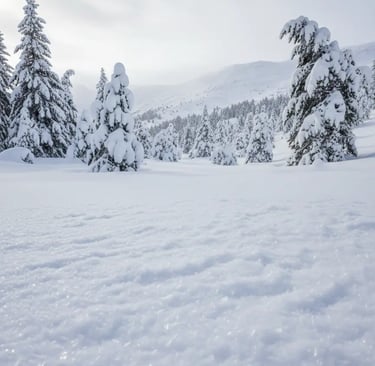 A wide panoramic landscape photo showing the vast, snow-covered mountainside and a view from the pea