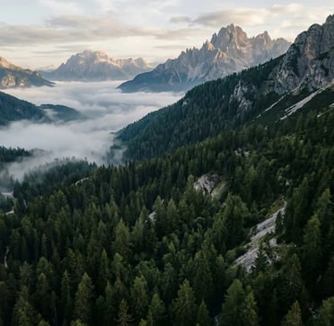 Aerial view of misty Dolomite valley with pine forest and jagged mountain peaks at dawn