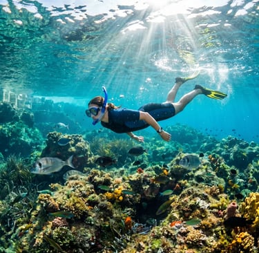 Woman snorkeling above vibrant reef with tropical fish in Adriatic Sea