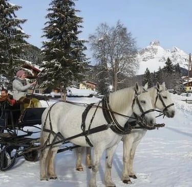 Two white horses harnessed to a horse-drawn sleigh standing in a snowy alpine village surrounded by 