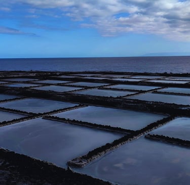 Salt Marshes - Salinas de Fuencaliente - La Palma - Spain 
