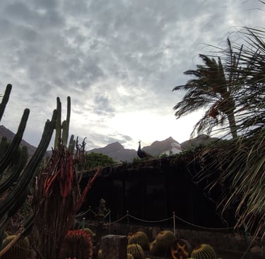 La Aldea de San Nicolas - Gran Canaria - Spain