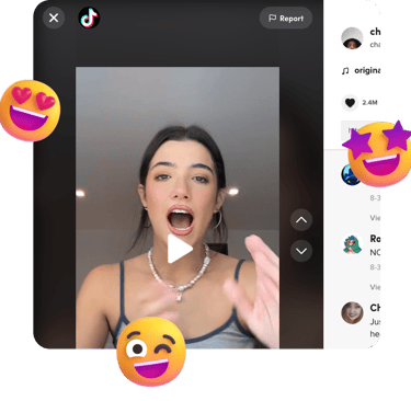 TikTok Video Downloader
