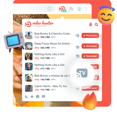 Video Hunter Downloader