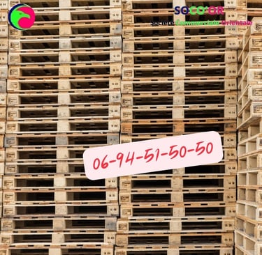 Palette en plastique maroc