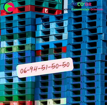 palette maroc prix