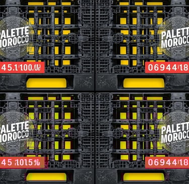 Palette plastique Maroc 