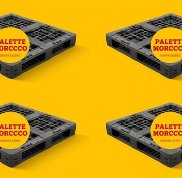 Palette plastique Maroc 