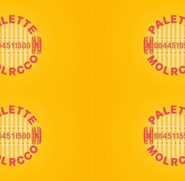 Palette plastique Maroc 