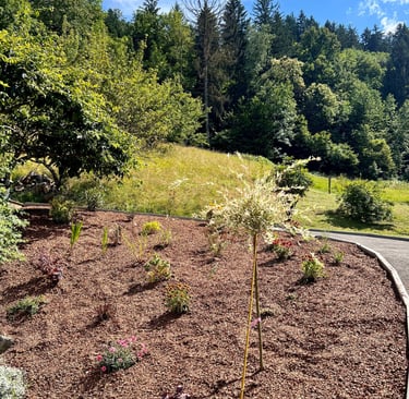 Création de massifs floraux et aménagements extérieurs à Talloires