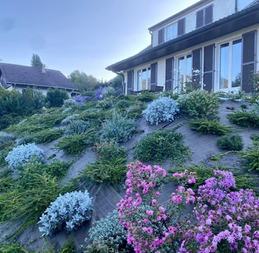 Vide Plantation de fleurs et arbustes ornementaux sur un talus végétalisé à Val de chaise