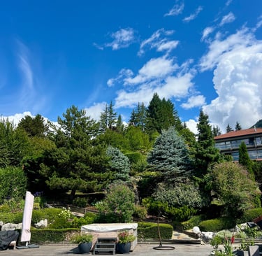 entretien des massifs du jardin à Talloires