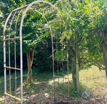 mise en place d'une arche et sa glycine à Faverges
