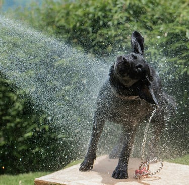 Cooling Off That Summer Heat