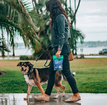 Charleston chews on the go