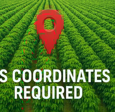 EUDR coffee compliance