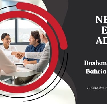 a business meeting with a businesswoman in a meeting room